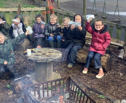 Y1 forest 3